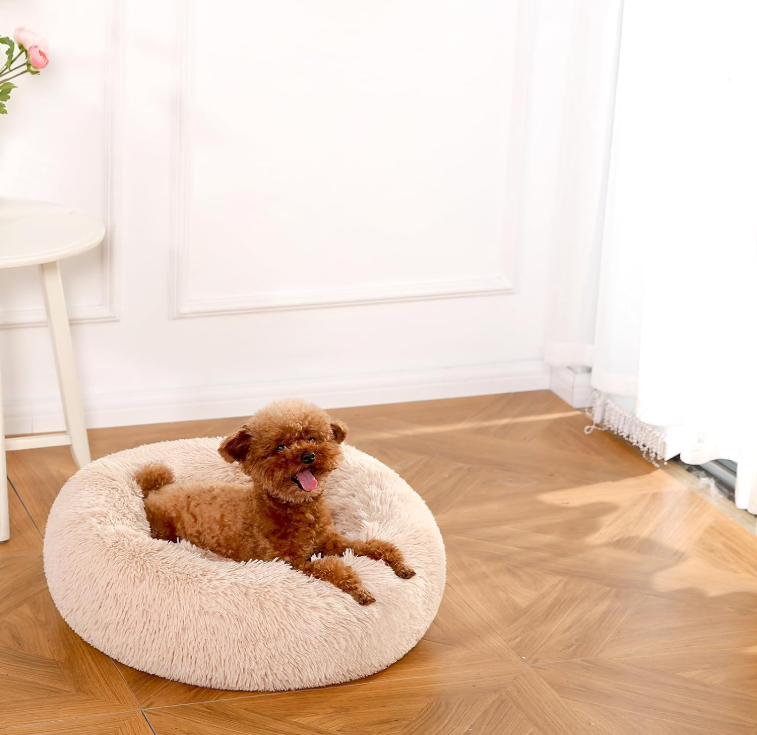 Pet relaxing in a soft donut style bed